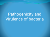 lect 6pathogenicity and Virulence bacteria.pdf